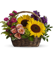 Picnic in the Park from Boulevard Florist Wholesale Market